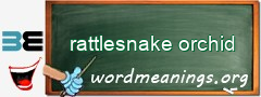 WordMeaning blackboard for rattlesnake orchid